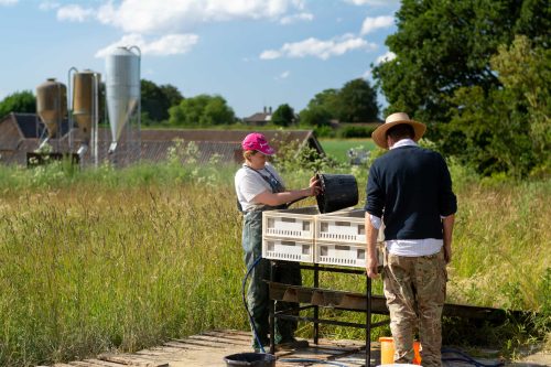 Sieving for Palaeolithic Faunal Remains at Barnham 