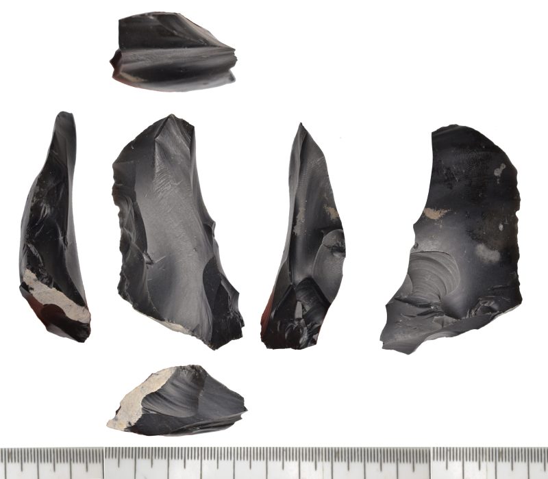 Palaeolithic flake from Happisburgh.