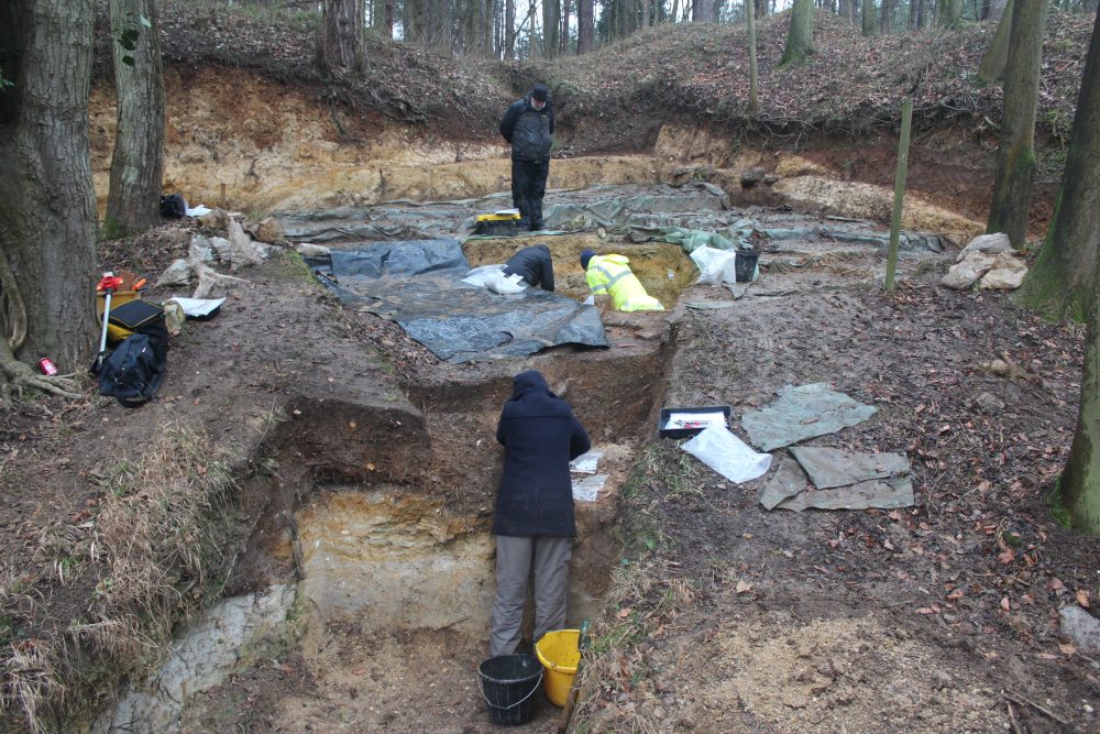 Breckland Palaeolithic Project excavations of Cutting 5 in 2018 (photo: Simon Lewis)