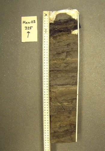 A 50cm monolith through part of Stratum C at Hoxne, sampled during AHOB excavations in 2003