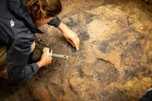 Detailed excavations to evaluate the use of fire by humans at Barnham