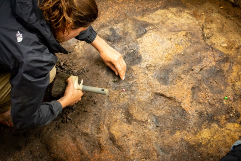 Detailed excavations to evaluate the use of fire by humans at Barnham