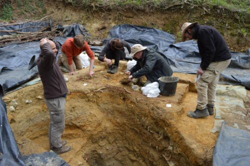 PAB fieldwork in 2022, reinvestigating the archaeological and molluscan sequence in Area AH.