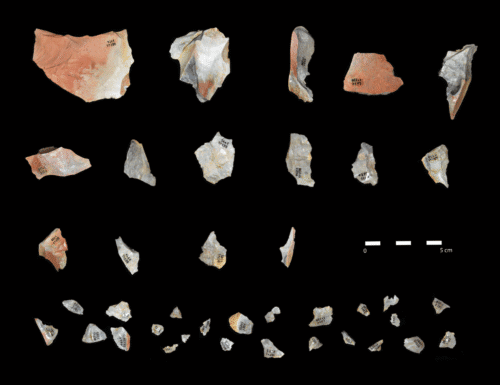 cluster before refitting