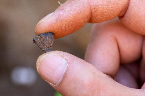 fragment of iron pyrite 